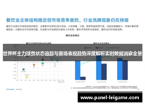 世界杯主力球员状态追踪与赛场表现趋势深度解析实时数据洞察全景